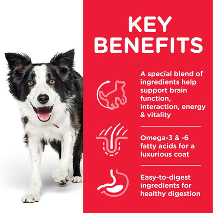 Dog with key benefits text on a red background