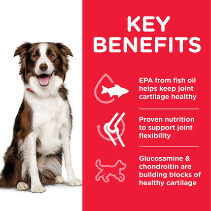 Mobility care for dogs