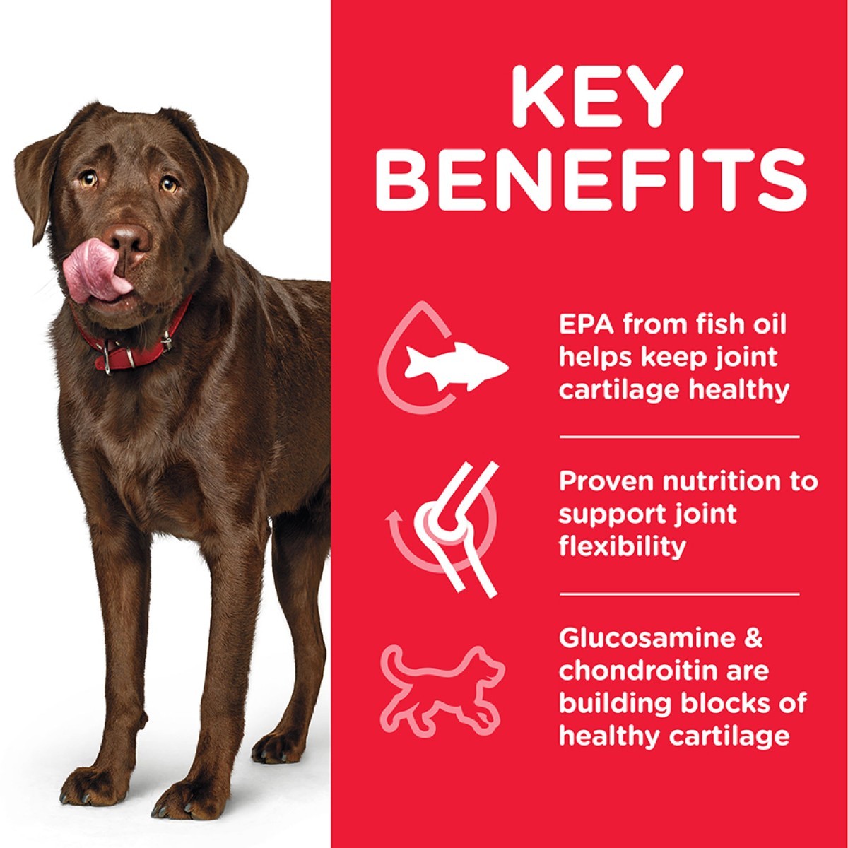 14kg joint care dog food