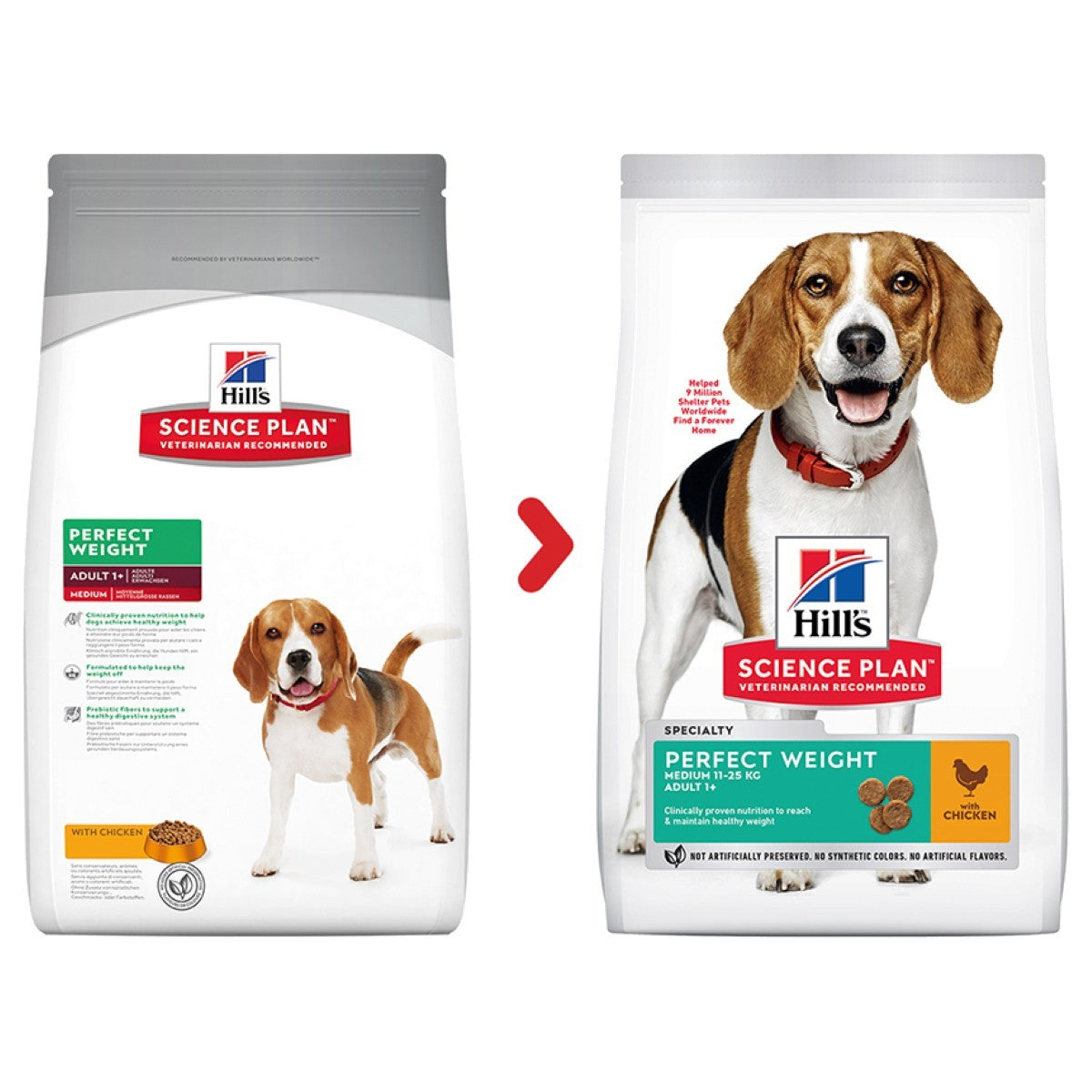 Two packages of Hills Science Plan dog food with a beagle on a white background