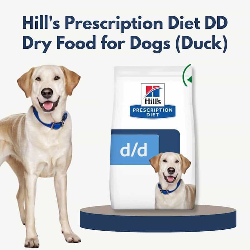 Hill's Prescription Diet DD dry food for dogs with a dog standing next to it on a white background