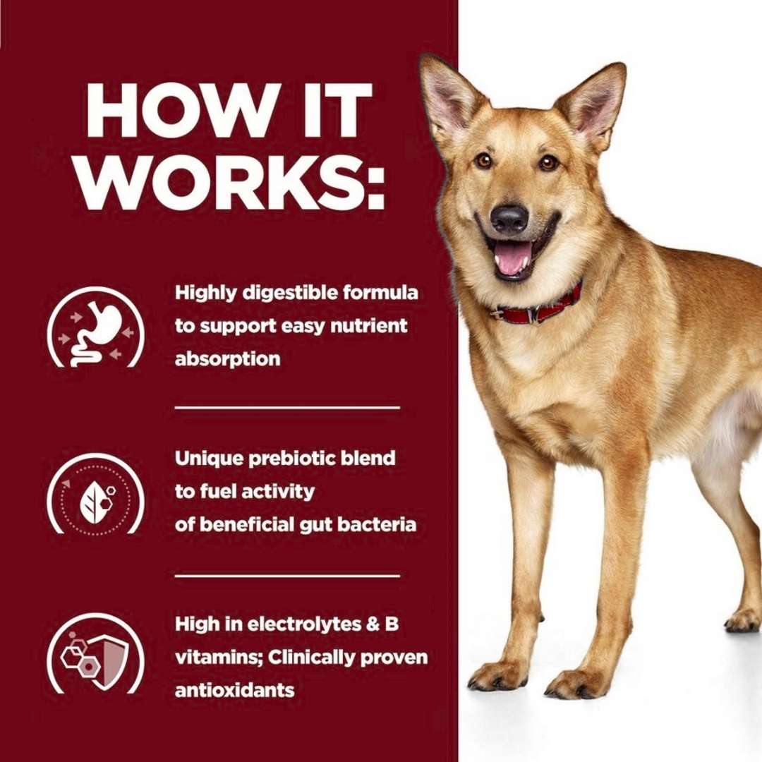 Dog standing next to a red background with text about a highly digestible formula.