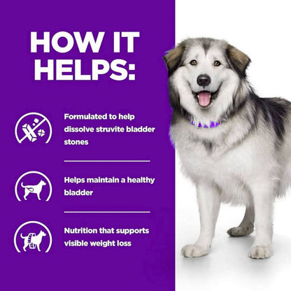Dog with a purple background and text about bladder stone dissolution and health benefits.
