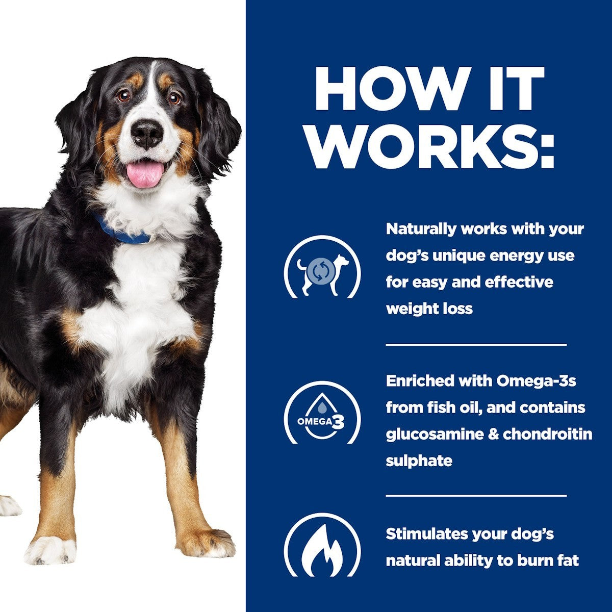Dog weight loss formula