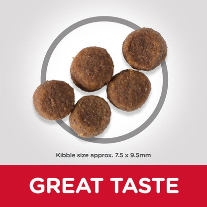 Dog kibble on a white background with 'GREAT TASTE' text