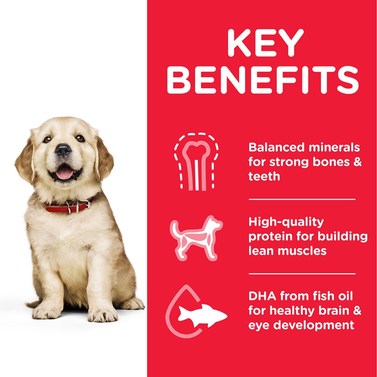 Puppy with key benefits of a pet food product on a red background