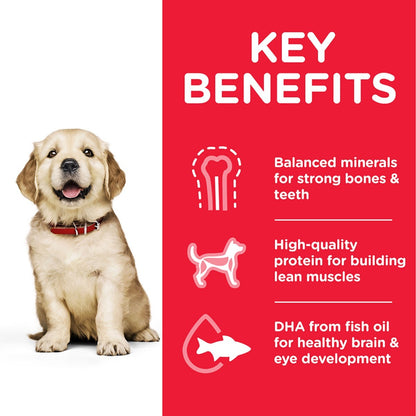 Puppy with key benefits of a pet food product on a red background