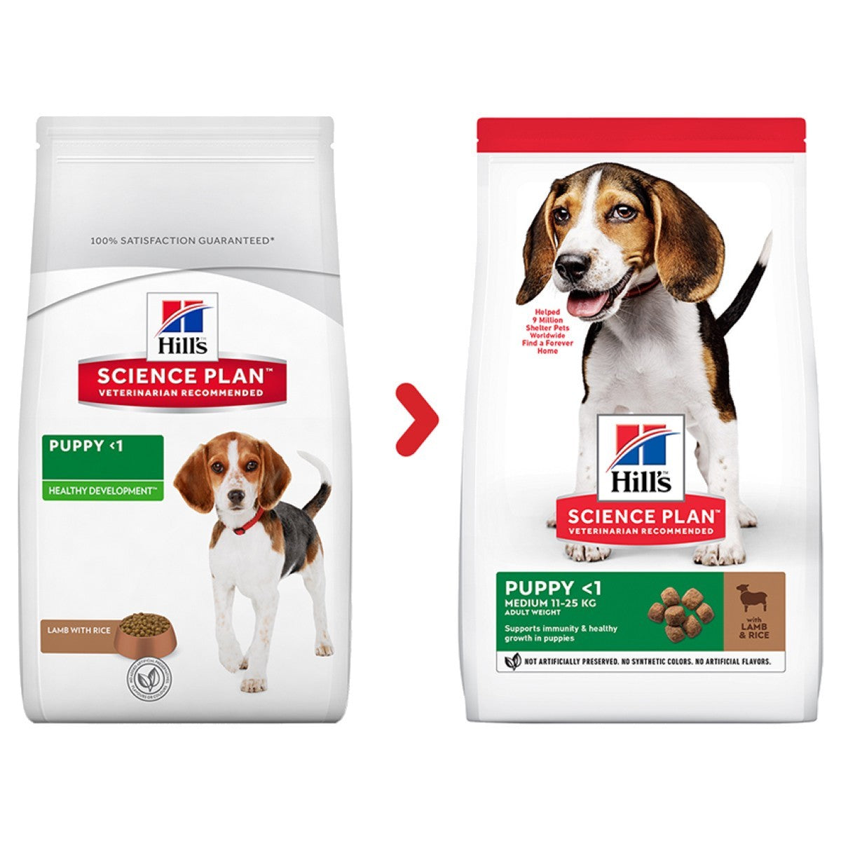 Two packages of Hills Science Plan puppy food on a white background