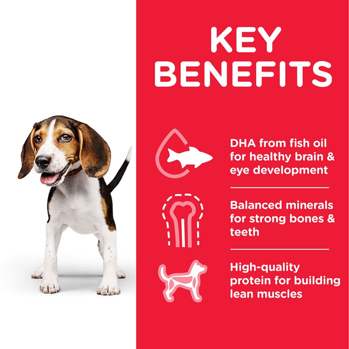 Dog next to a list of key benefits on a red background