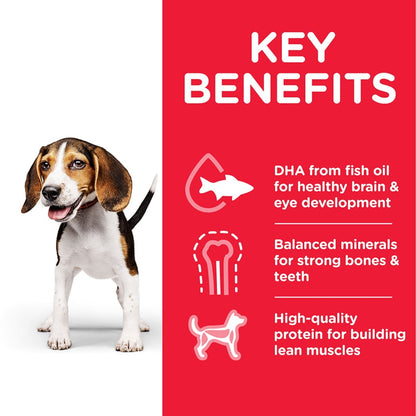 Dog next to a list of key benefits on a red background