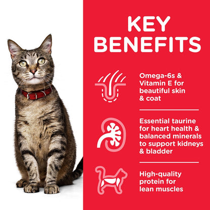 Hill’s wet food for cats
