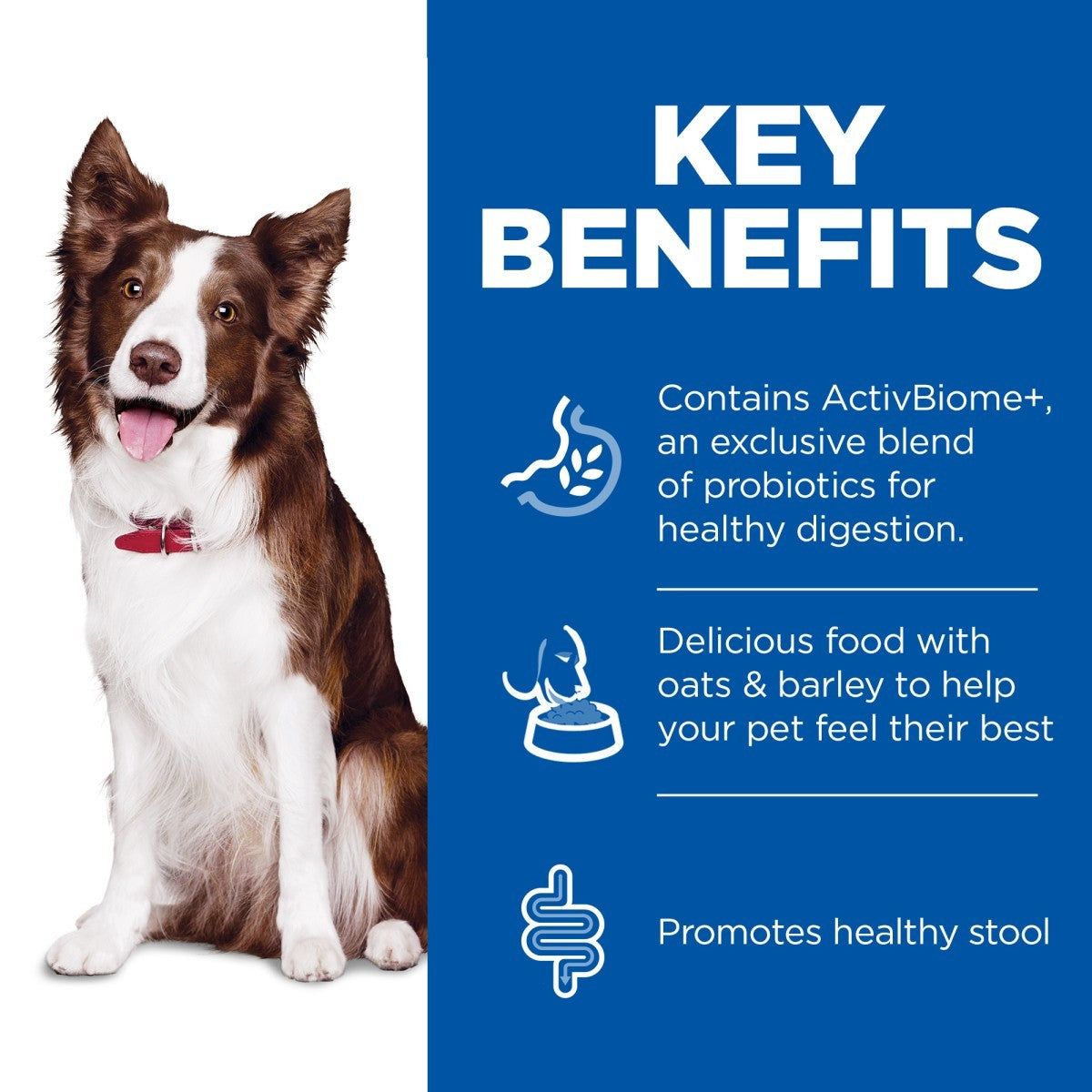 Medium breed gut health