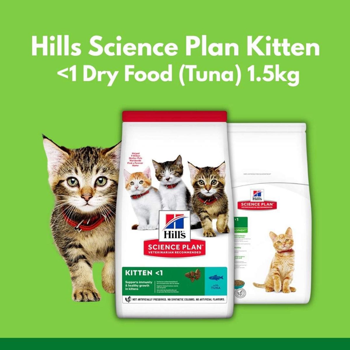 Hills Science Plan Kitten dry food packaging with a green background