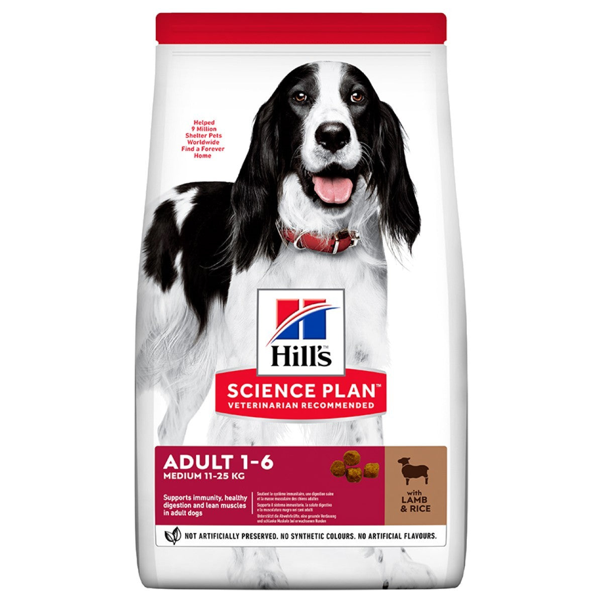 Hill's lamb dry food