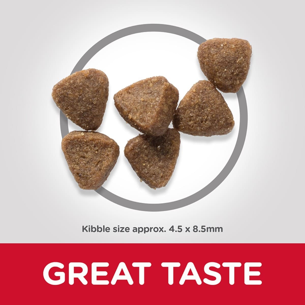 Dog kibble with a circle around it on a gray background, labeled 'GREAT TASTE'.