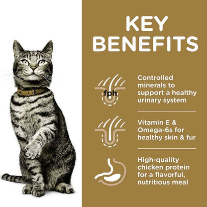 Cat with key benefits of a pet food product on a brown background