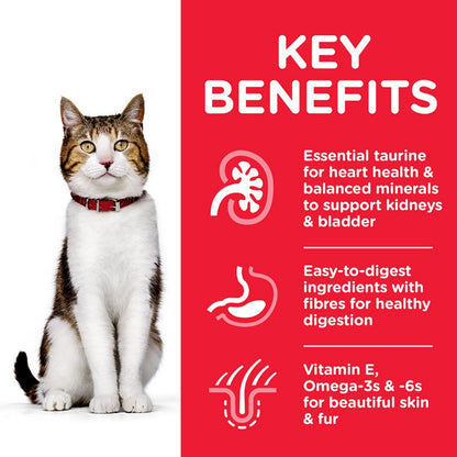 Balanced senior cat diet