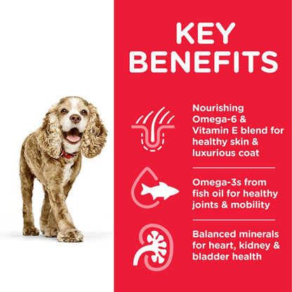 Dog with key benefits of a pet food product on a red background