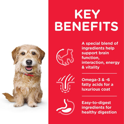 Dog with key benefits text on a red background
