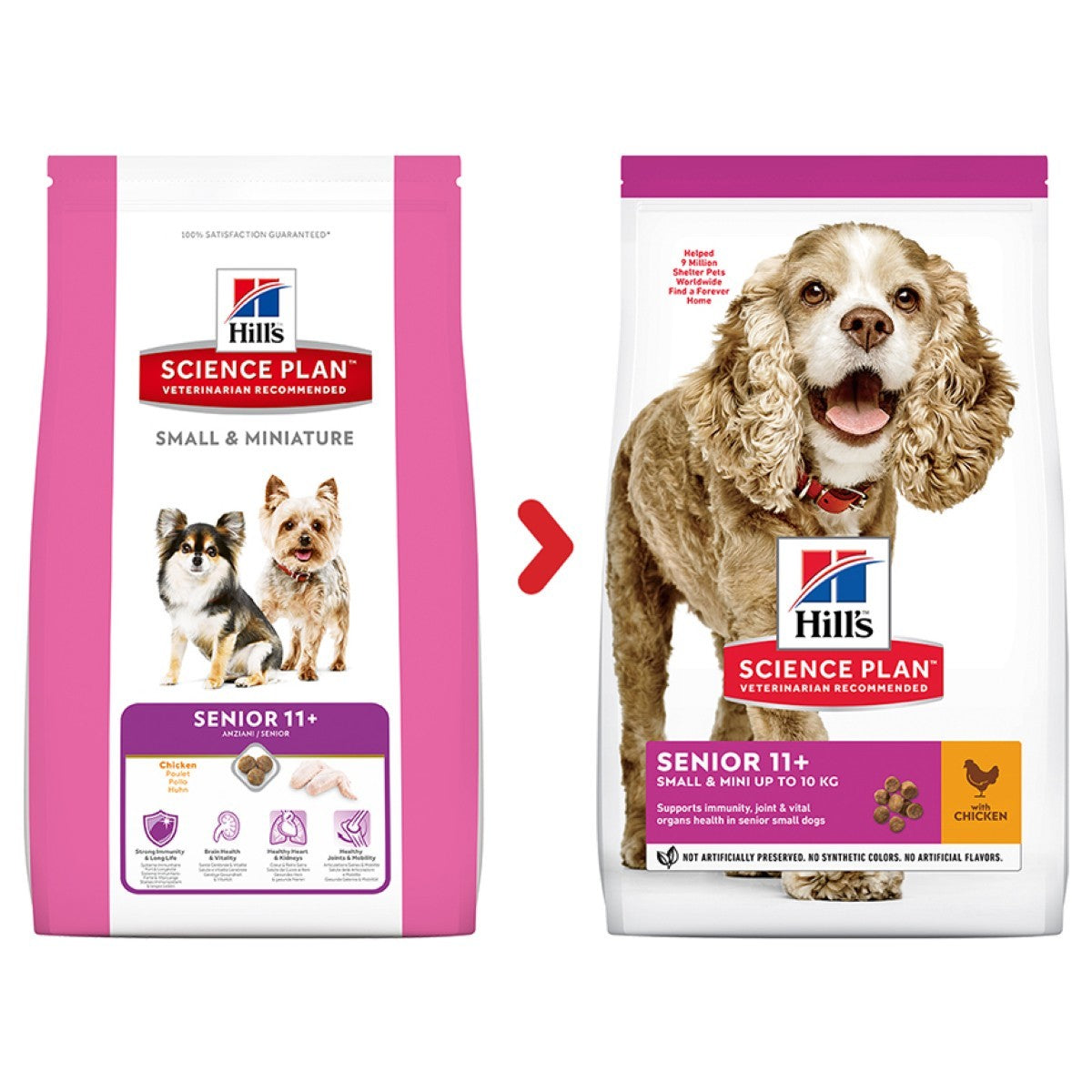 Two packages of Hills Science Plan dog food for small and miniature senior dogs on a white background.