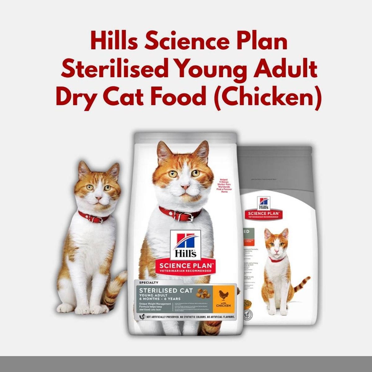 Hills Science Plan sterilised young adult dry cat food packaging with a cat on a white background