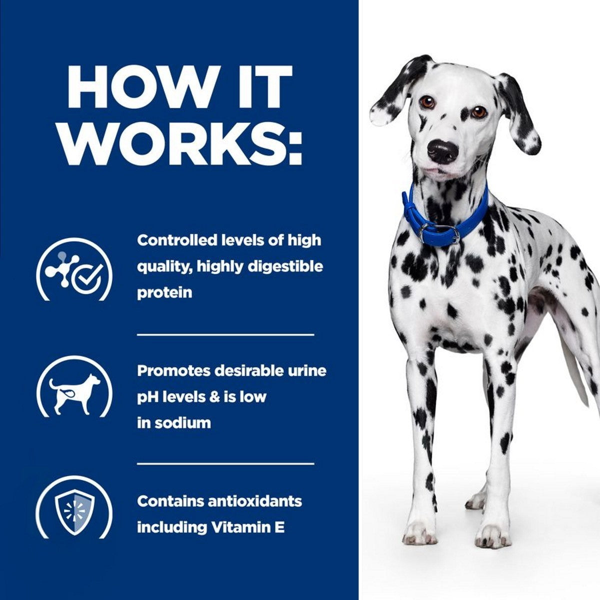 Low protein dog food