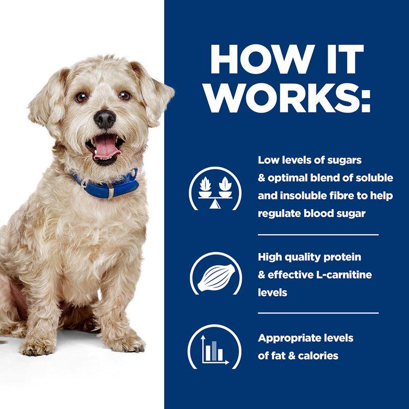 hills diabetic dog formula