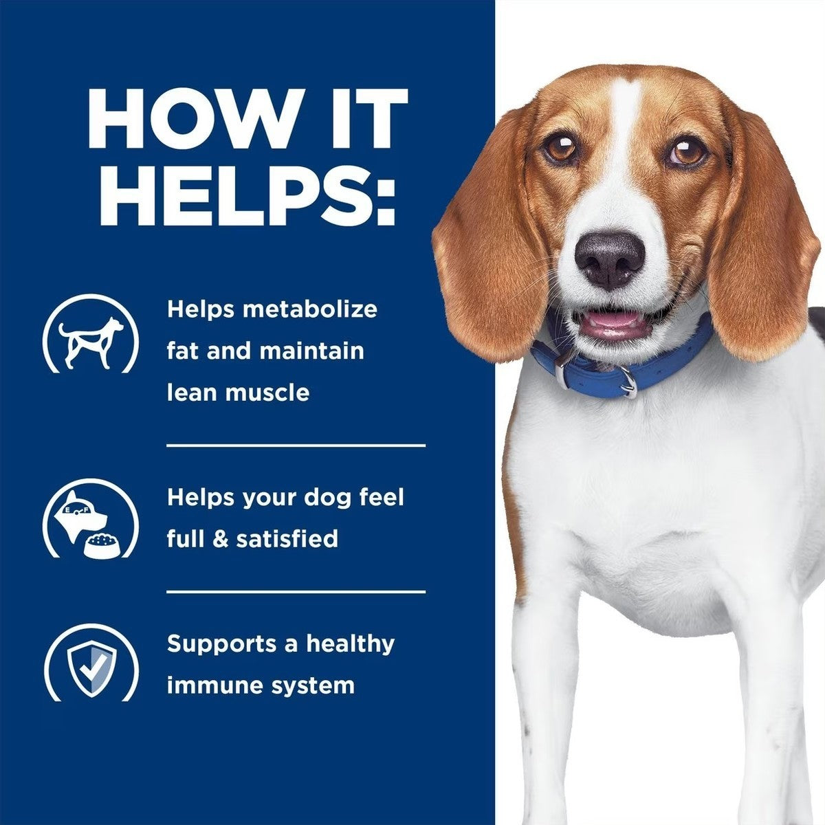 R/D canned dog food