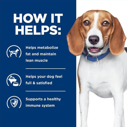 R/D canned dog food