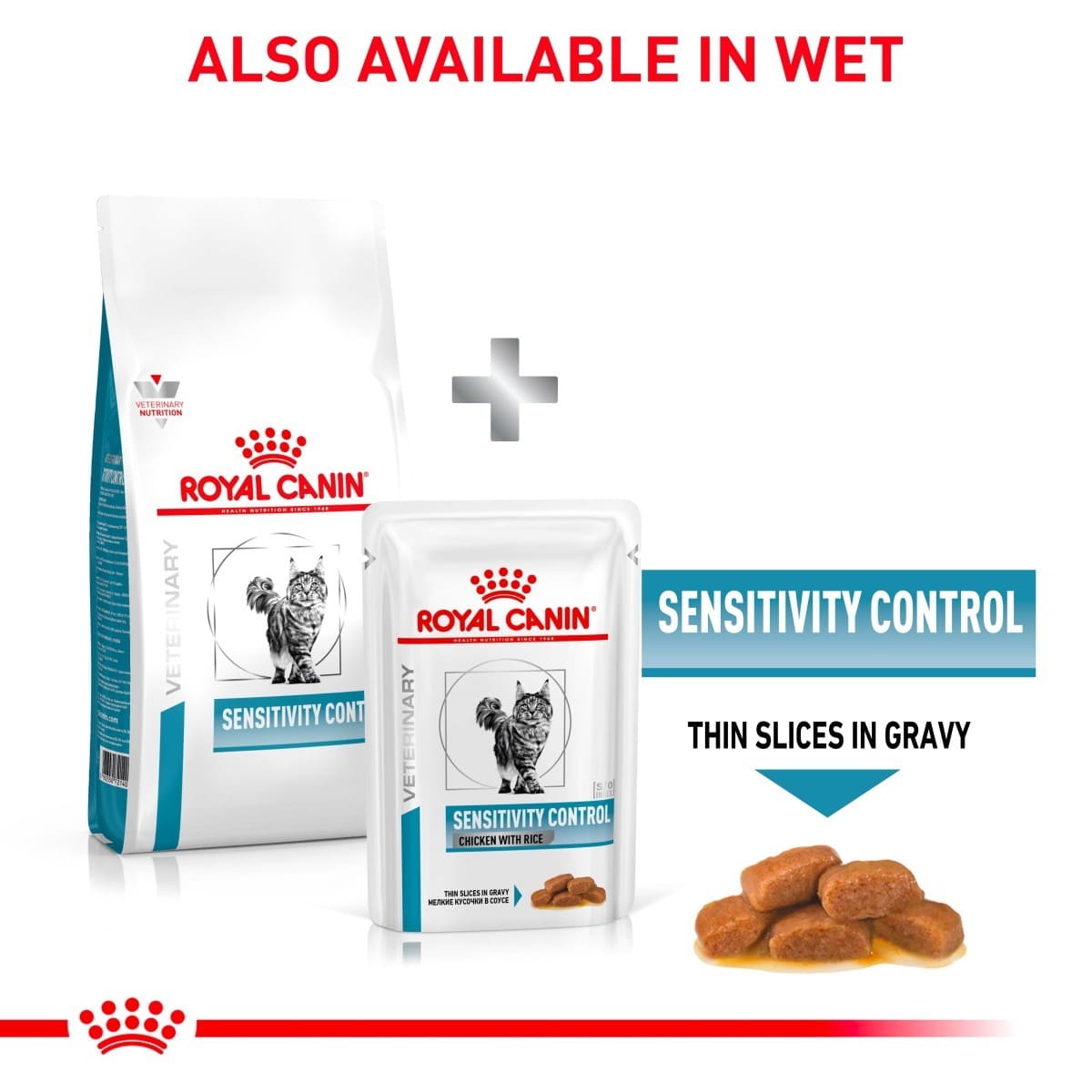 Cat food sensitivity dry kibble

