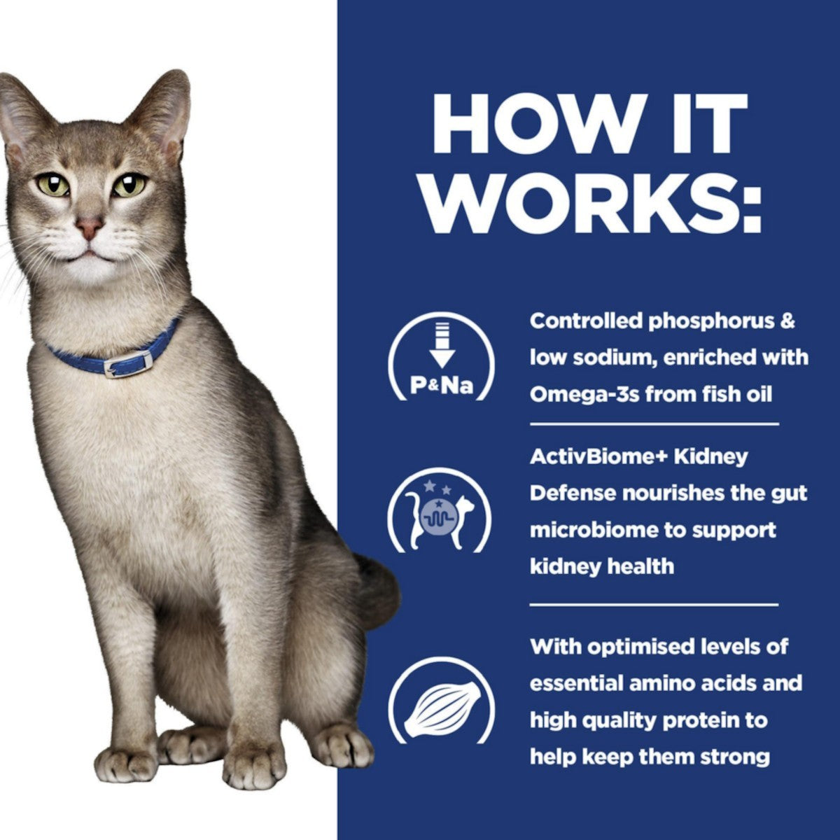 Therapeutic renal diet cats