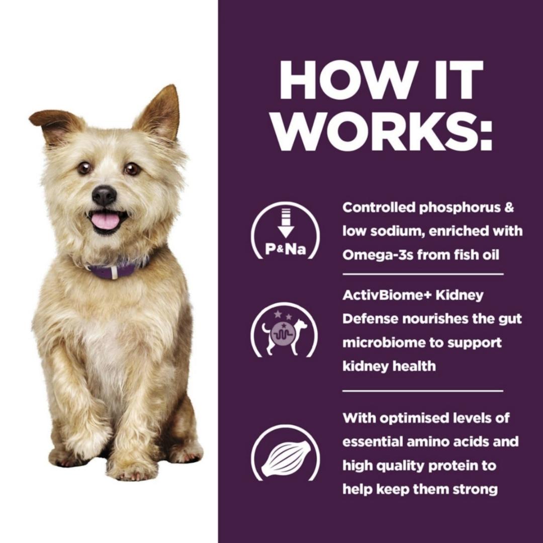 Dog with a purple collar on a white background, next to text about a pet food product's benefits.