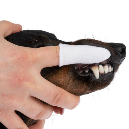 Puppy dental finger tool