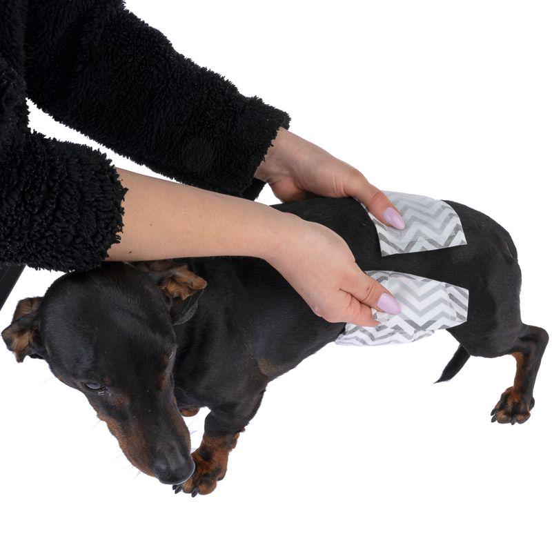 Leak‑proof male nappy