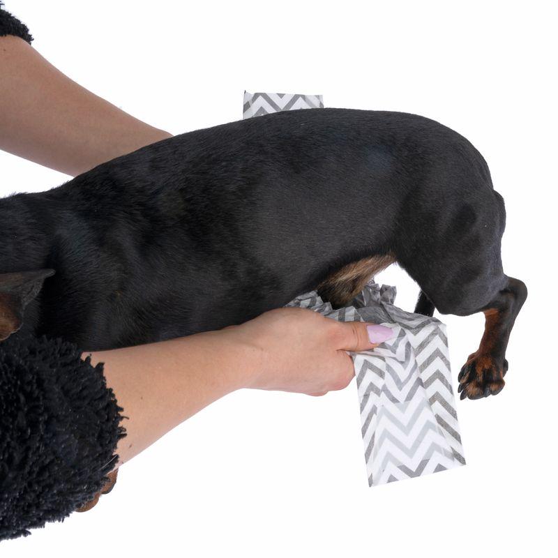 Disposable dog nappies