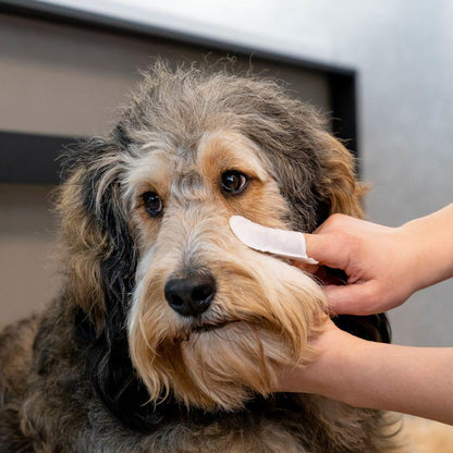 Sensitive pet cleansing wipes