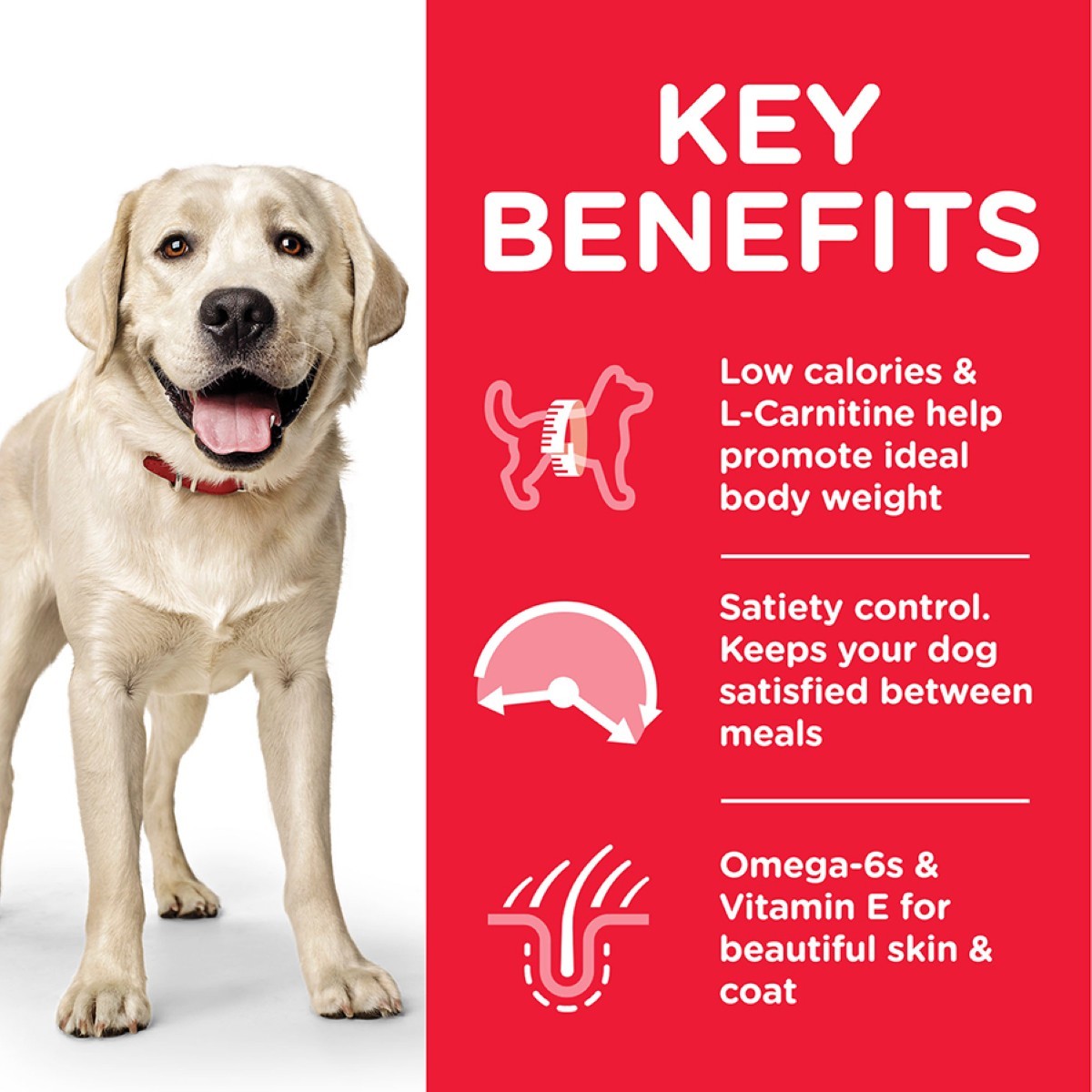 Science Plan weight care