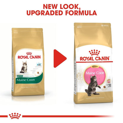 Two packages of Royal Canin Maine Coon cat food with a red play button graphic.