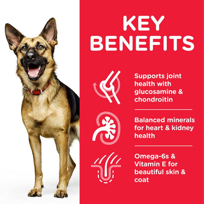 Large breed senior nutrition