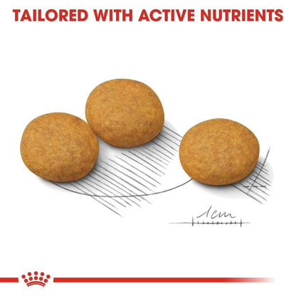 Three brown pet treats on a white background with text 'Tailored with Active Nutrients' and a red Royal Canin logo.