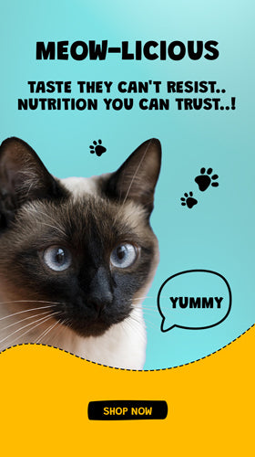 Cat Food | Buggaz | UK