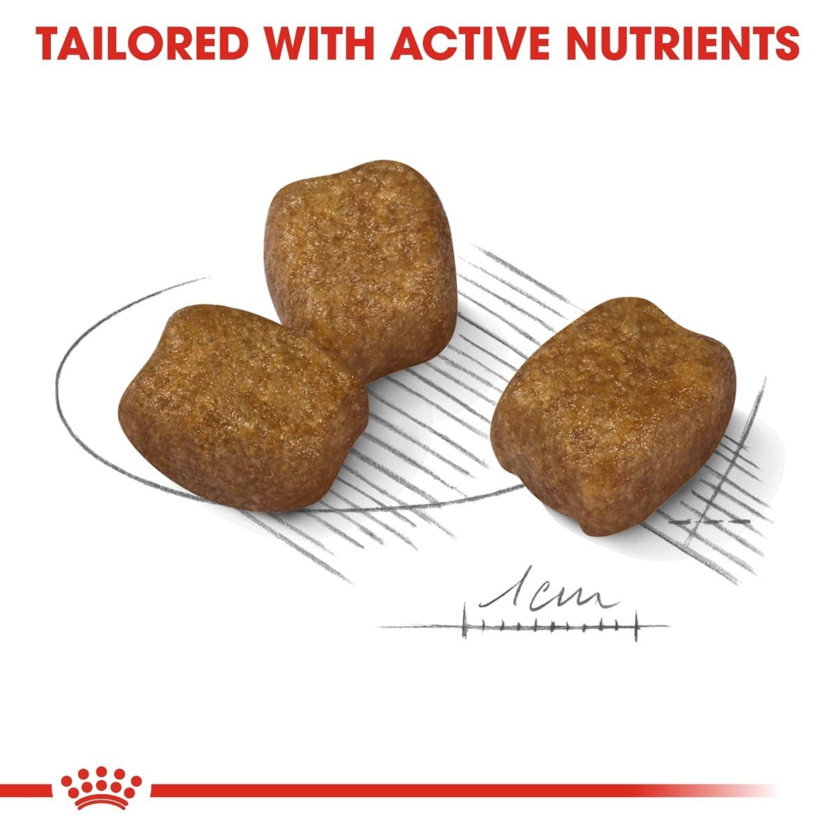 Three brown pet food pellets on a white background with text 'Tailored with Active Nutrients' and a red Royal Canin logo at the bottom.
