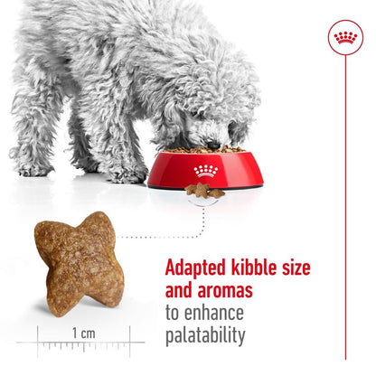 Dog eating from a red bowl with kibble, scale, and text on a white background