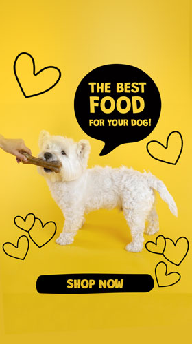 Buggaz Pet Supplies | Organic and Healthy