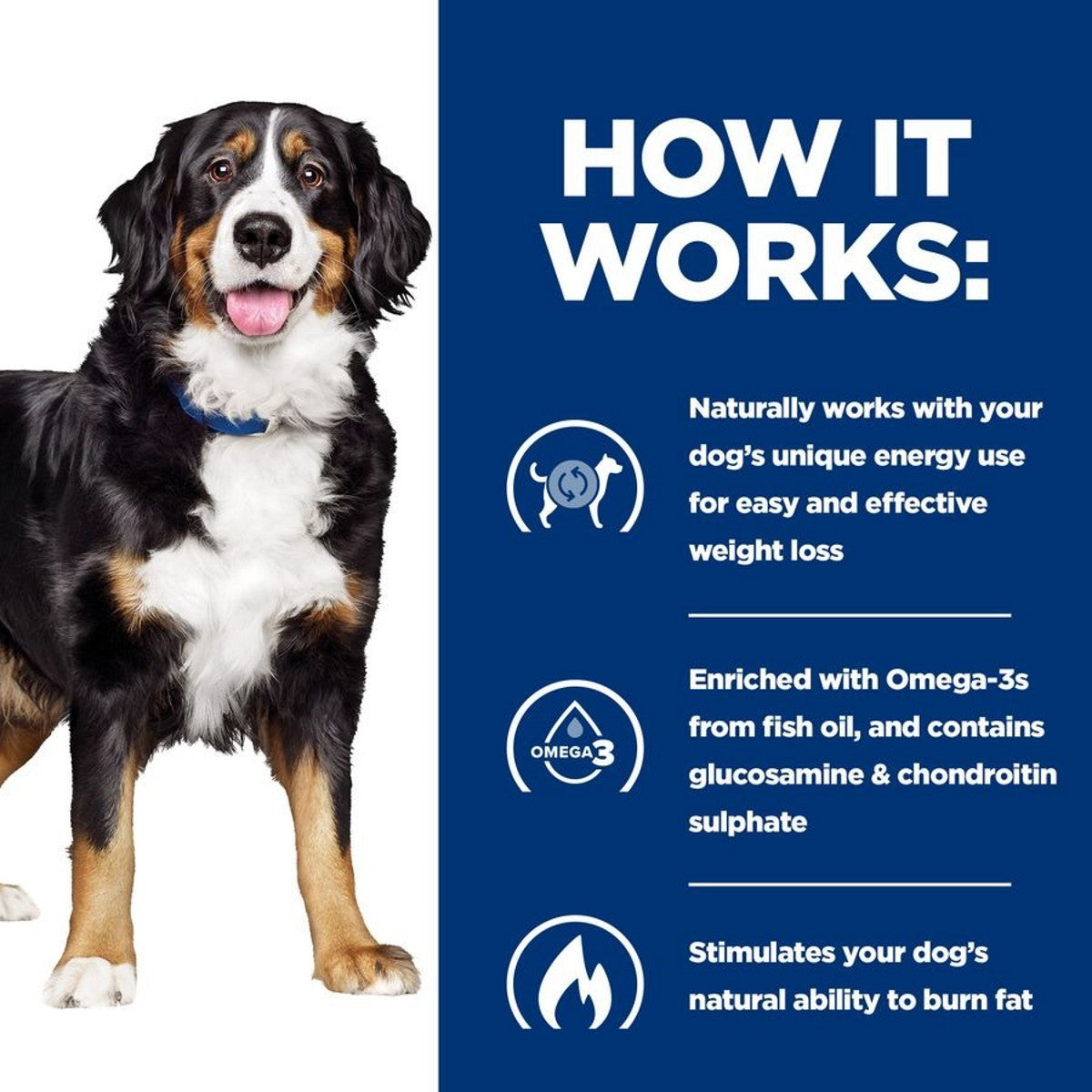 Dog kibble for joints