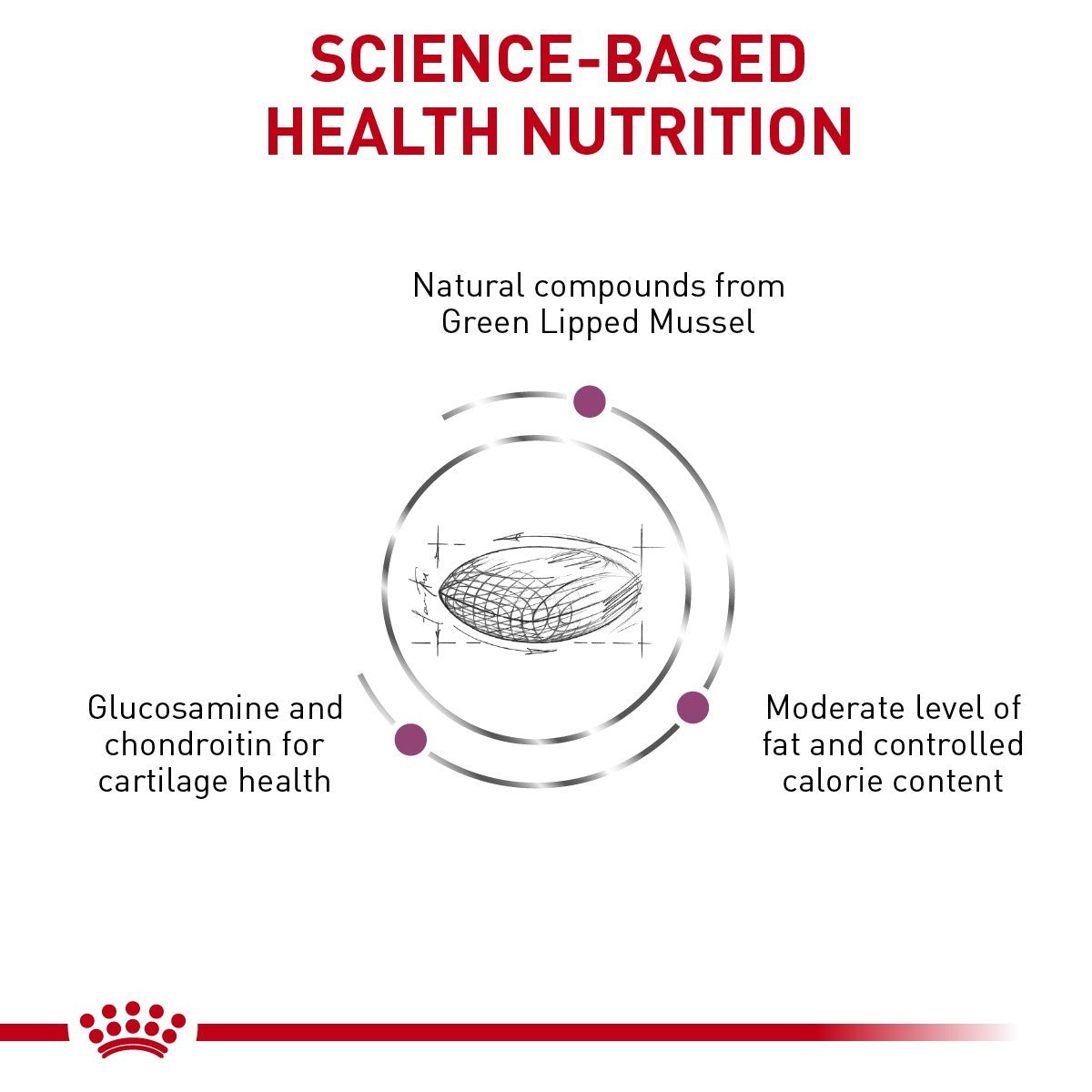 Diagram of green lipped mussel with text about science-based health nutrition and ingredients.