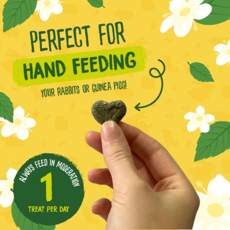Hand holding a treat with text about hand feeding rabbits or guinea pigs on a yellow background with flowers and leaves.