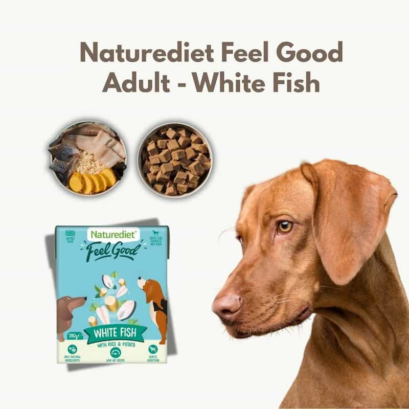Naturediet Feel Good Adult White Fish dog food packaging with a dog on a white background