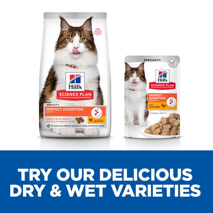 Digestive health adult cat