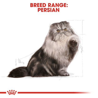 Persian cat with breed range text and Royal Canin logo on a white background